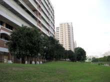 Blk 542 Hougang Avenue 8 (S)530542 #244512